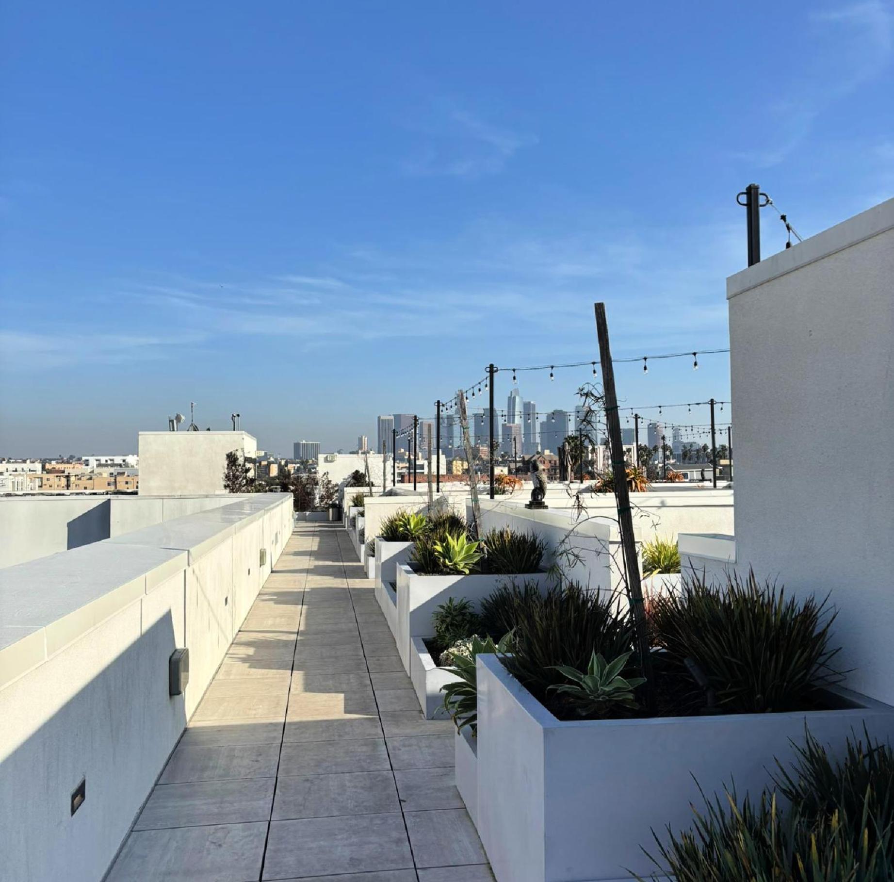 Dream Escape With Great Rooftop Views Los Angeles Ngoại thất bức ảnh